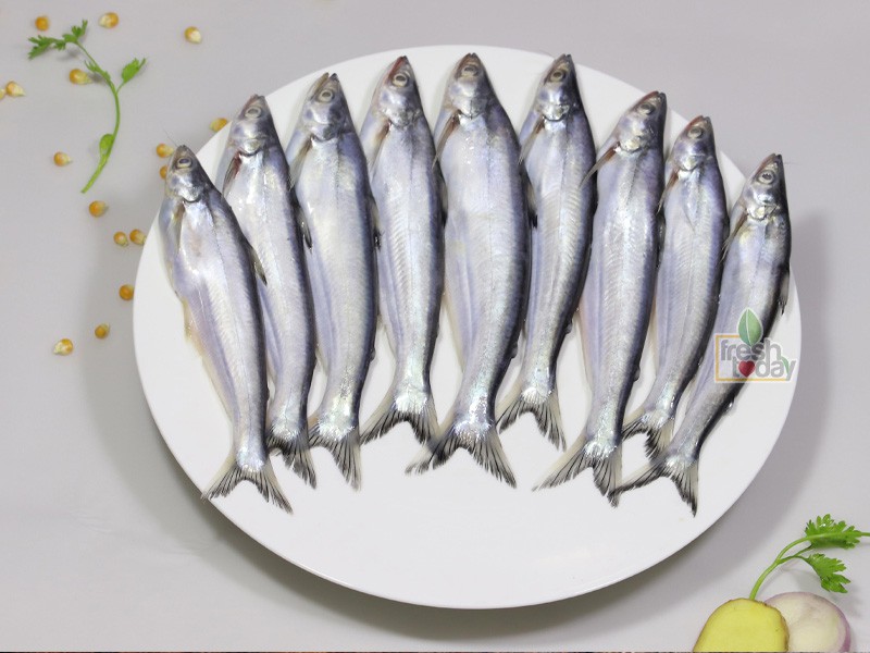 Fresh Today - River Basa Fish (নদীর বাছা মাছ)